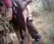 Дружбан снимает своего дружка который трахает в лесу азербайджанку